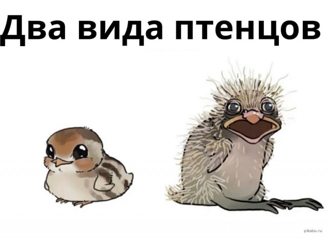 Так себе картинки 16.04.22