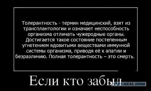 Размышления о толерантности
