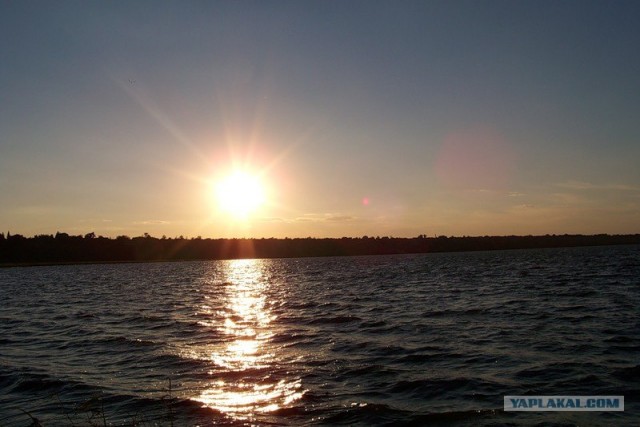 Sea Fishing. Черное море