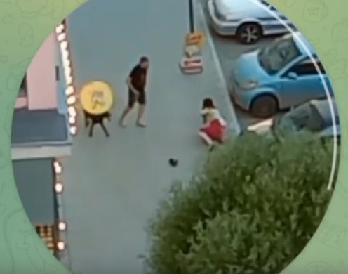 Про "беззащитную" девушку которую собачник пнул по голове