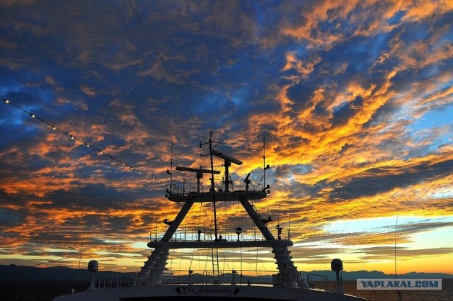 Любовь с первого взгляда