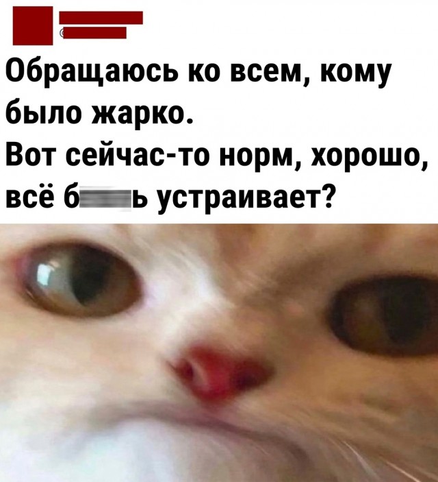 Так себе картинки 07.09.22