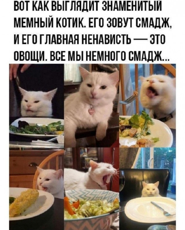 Картинки и мемы. Выходные близко...