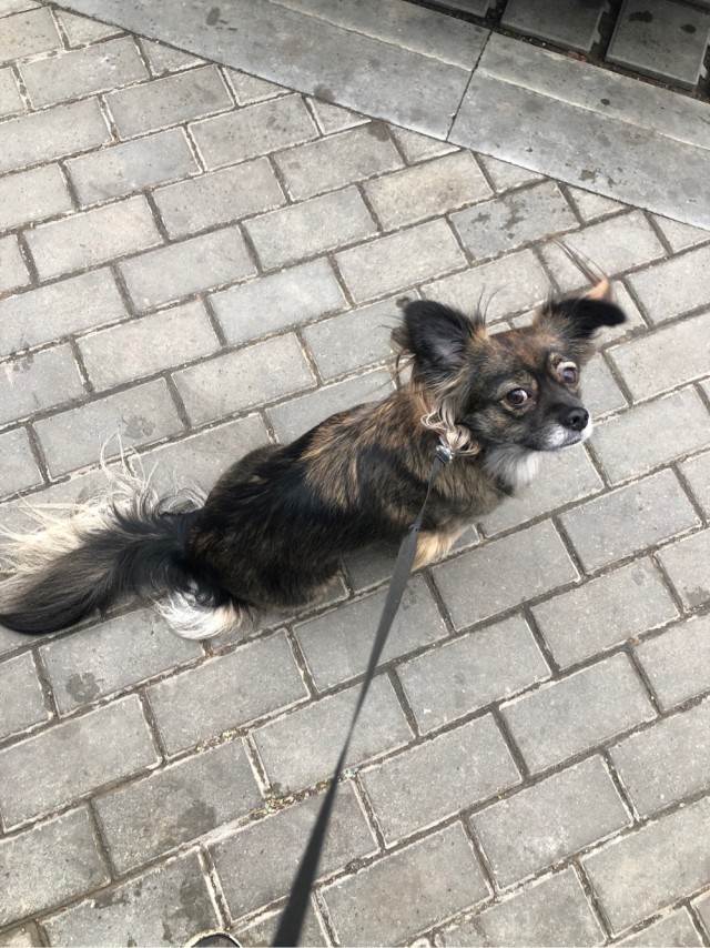 Мы пропустили