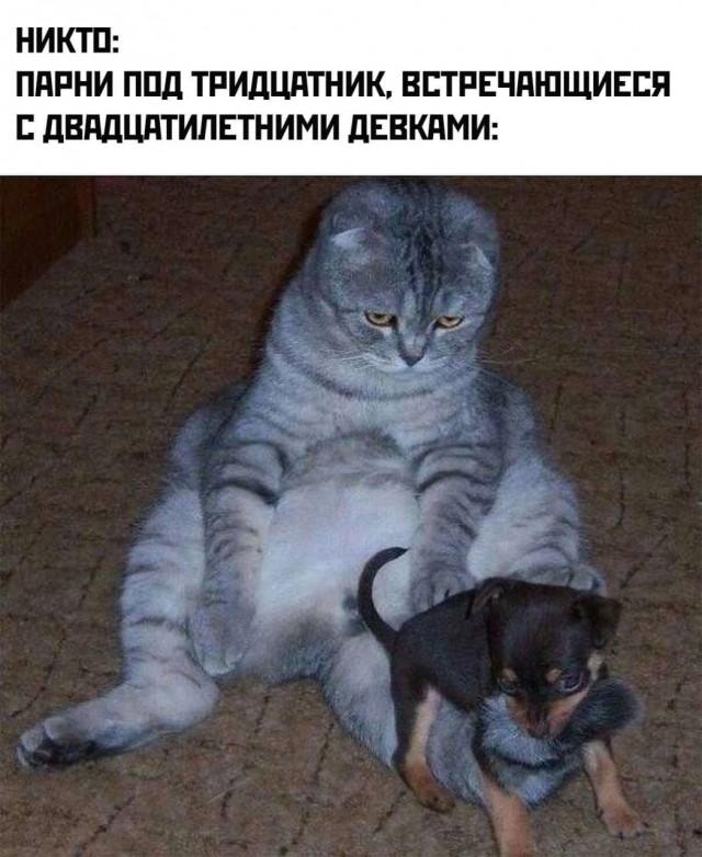 Народная меДИЧина 7040