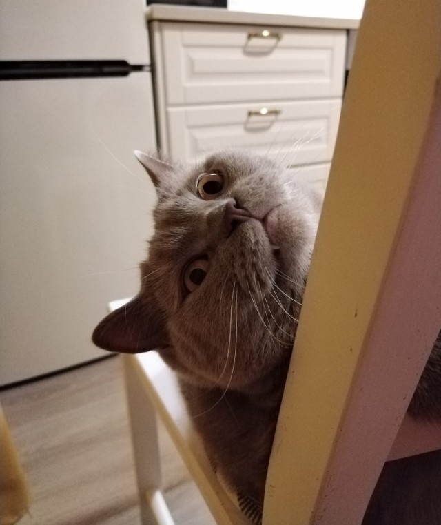Совпало же? В котовторник