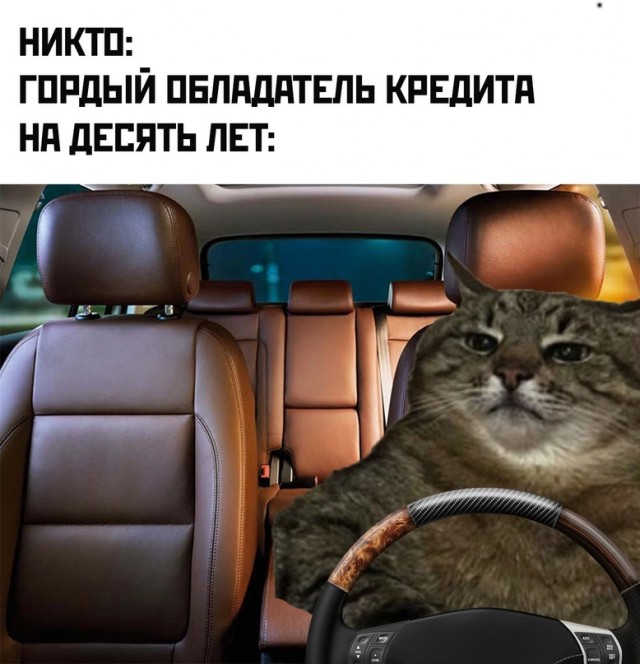 Картинки и мемы, всем хороших выходных