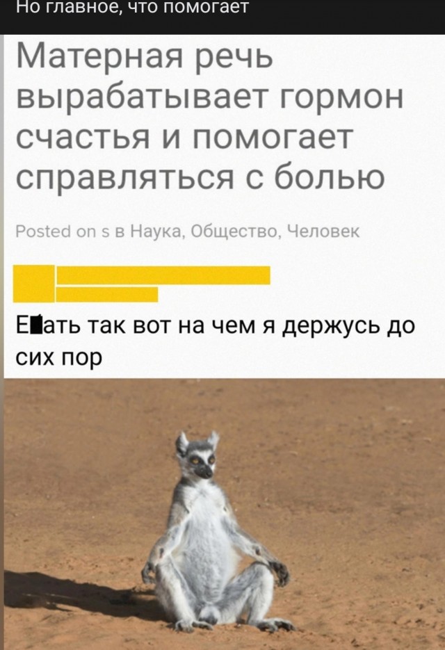 Почему женщина избегает исполнять супружеский долг?