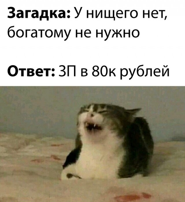 Весёлый полтишок 08.07.23