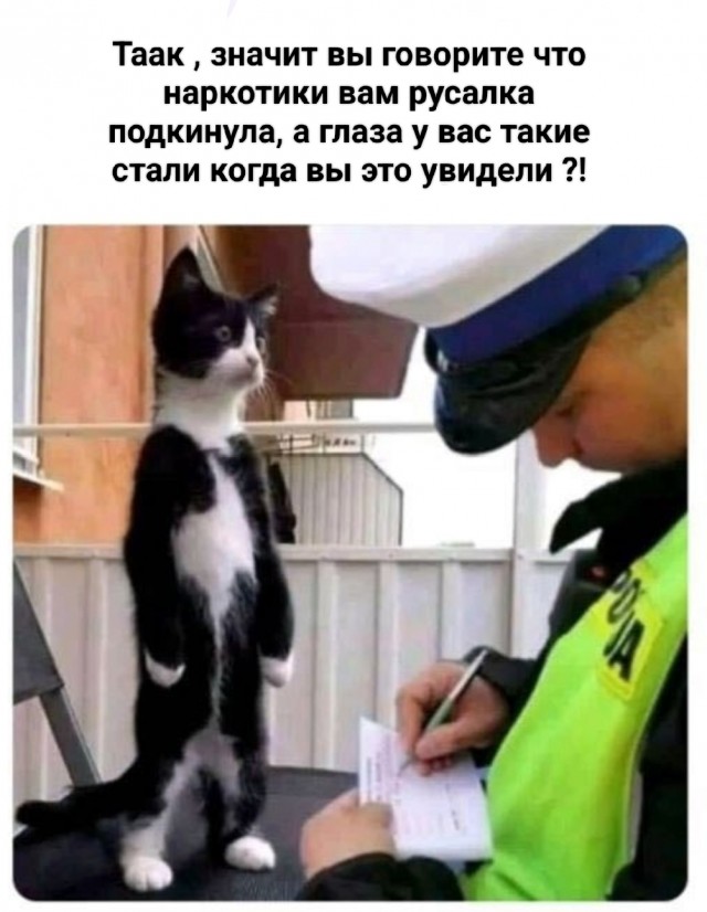 Попал под самокат
