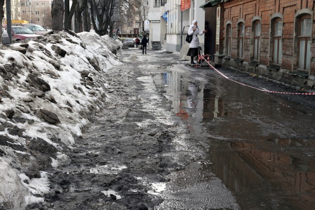 Красивые фото ЯПа