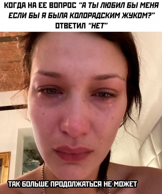 Весёлый полтишок 09.11.23
