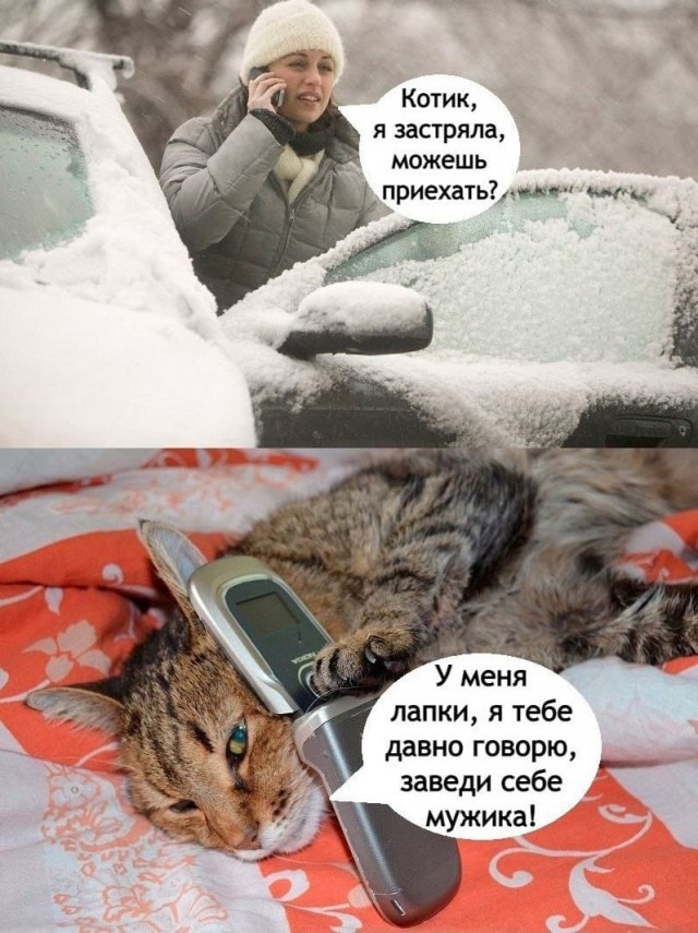 Приколы с налетом деградации