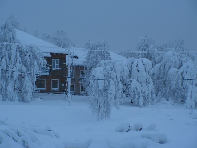Зимняя красота