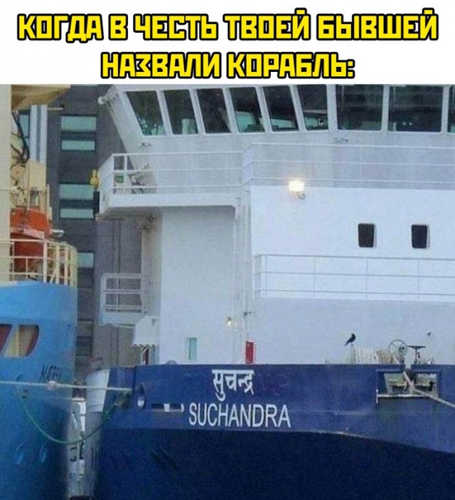 Весёлый полтишок 11.01.23