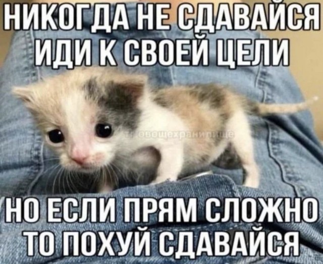 Всего понемногу. От 17.01.24