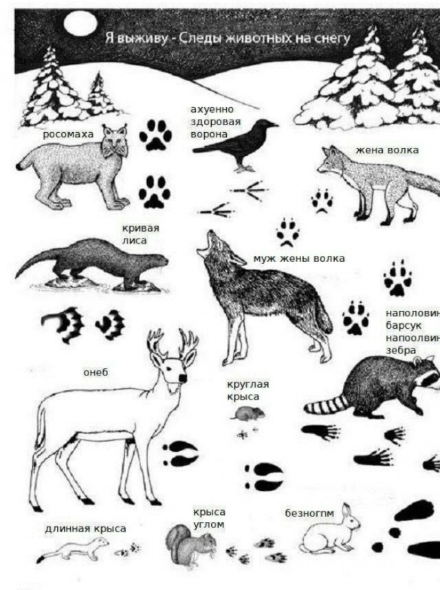 Всего понемногу. От 23.02.24