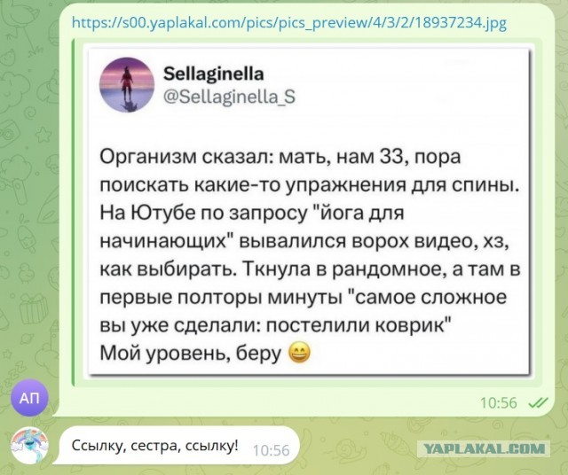 Забавные комментарии из социальных сетей (18.03.24)