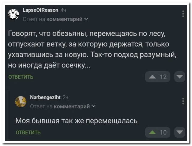 Забавные комментарии из социальных сетей (21.05.24)