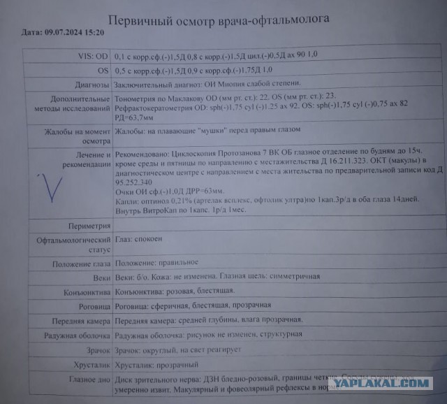 Что ищут офтальмологи у пациентов с плавающими помутнениями?