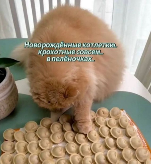Завалялось тут случайно немного забавных картинок