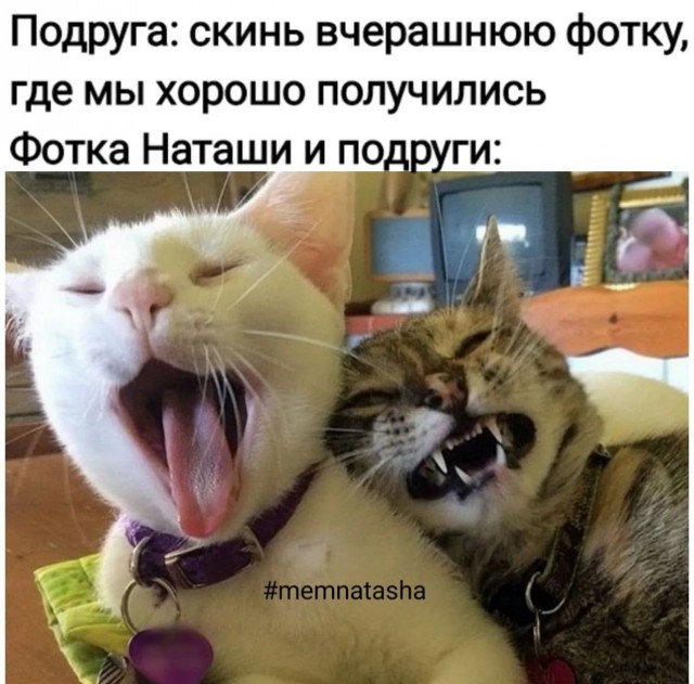 Завалялось тут случайно немного забавных картинок