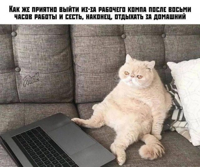 Я тебе еще пригожусь!