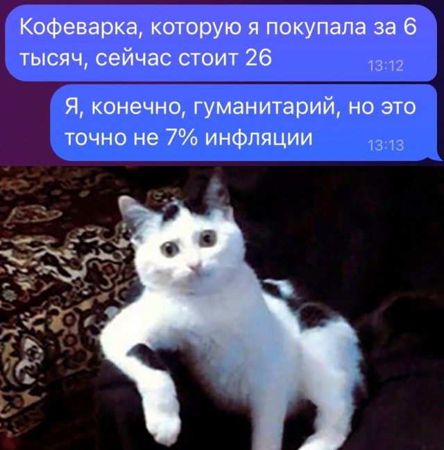 Весёлый полтишок 14.10.2024