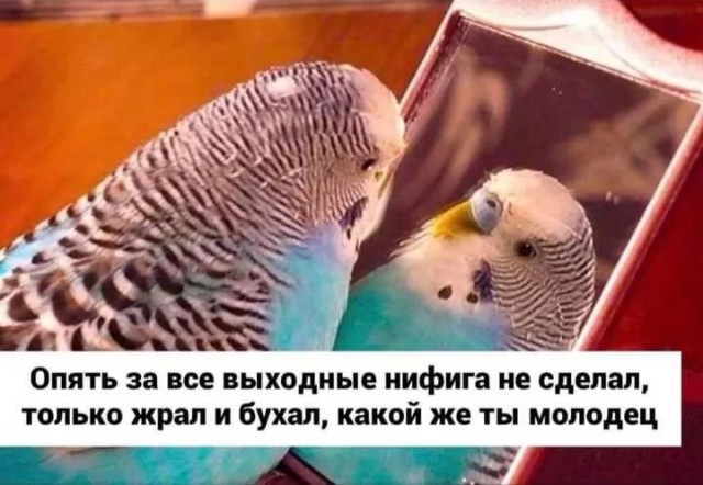 Завалялось тут случайно немного забавных картинок