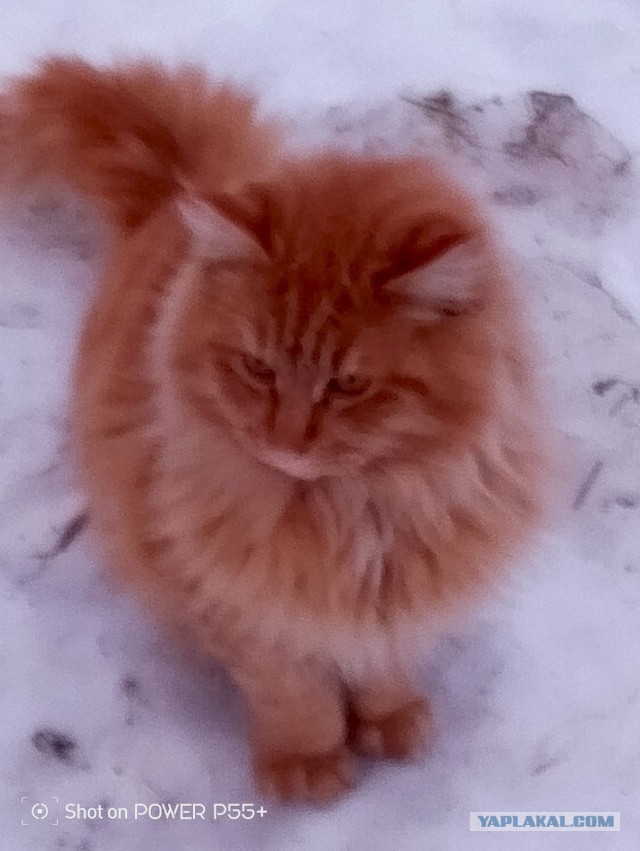 Пост накопления всякой милоты