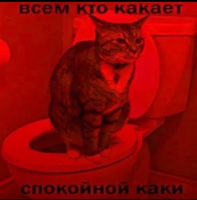 Немного е*анины на субботу