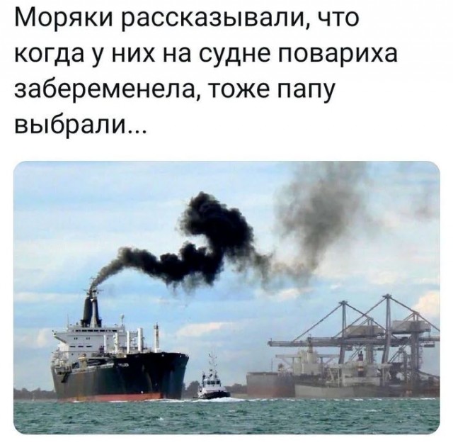 Весёлый полтишок 14.05.25.
