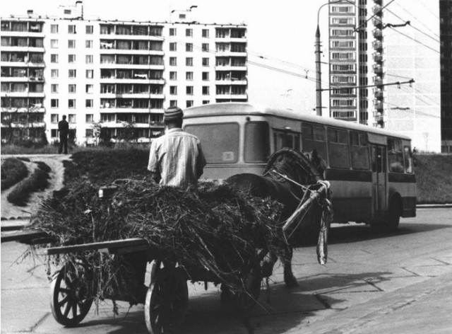 Москва и москвичи. Двадцатый век. 14.06.25