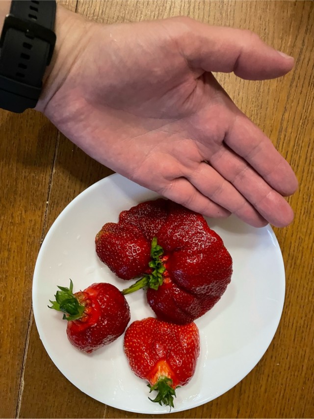 Я эту кулубнику… Своими руками!