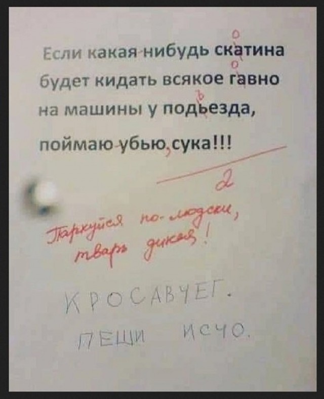Так себе картинки 16.07.25