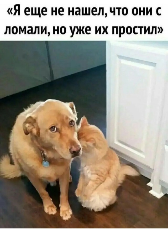 Так себе картинки 02.09.25