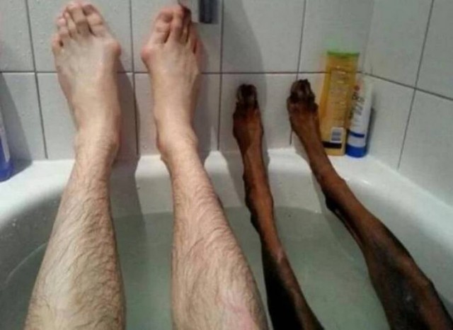 Очередная порция всякой хрени