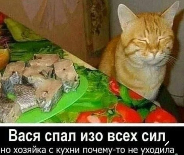 Так себе картинки 02.10.25