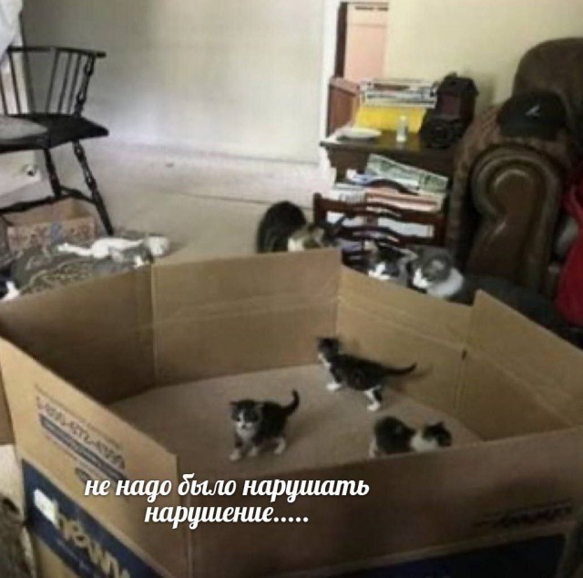 Небаянистая деградация