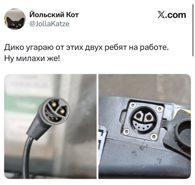 Веселые картинки в пятницу (21.11)