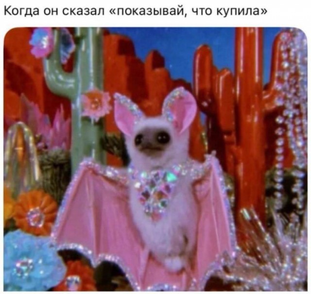 Картиночки, баянчики 15 декабря