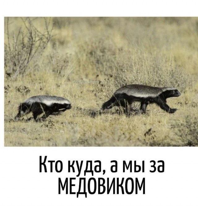 Игра слов в картинках 20.12.25