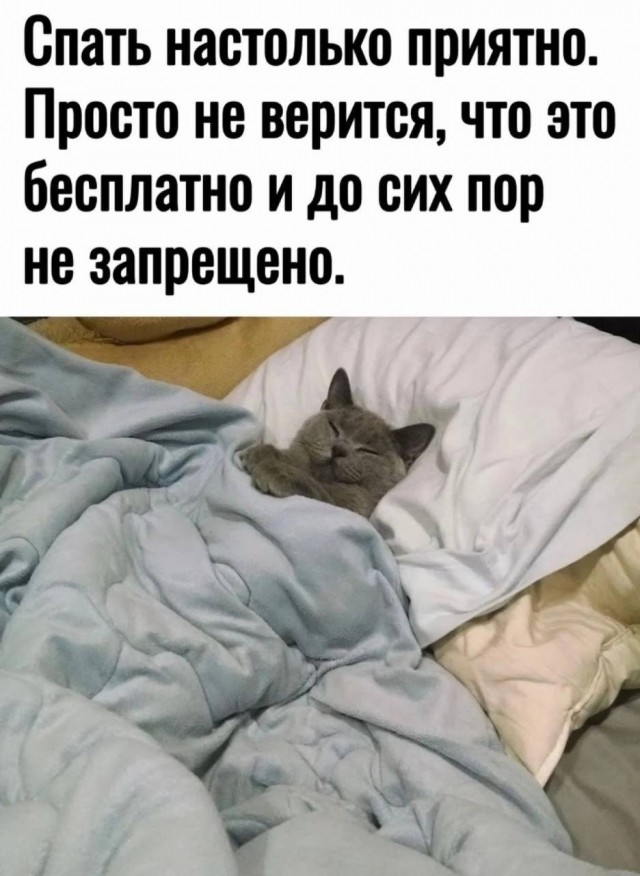 Когда у нас совсем всё отрубят