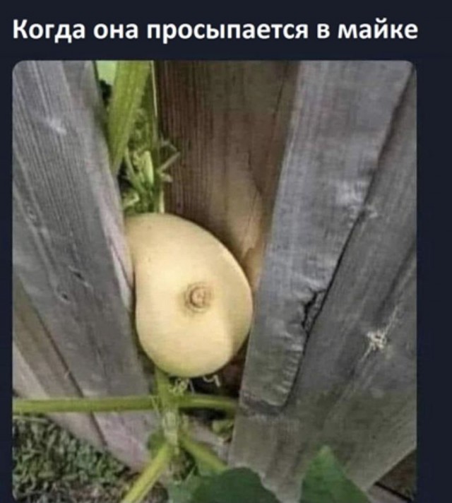 Картинки для деградации 134 (разной степени свежести)