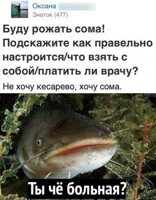 «Фу,старый и тиной воняет»