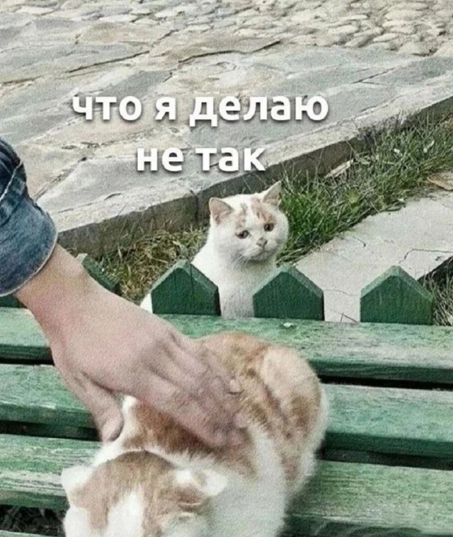 Так себе картинки 15.03.26