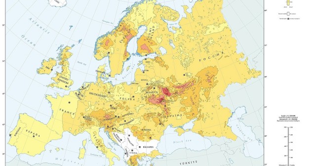 Радиоактивные изотопы Чернобыльской катастрофы обнаружили на грибах в Финляндии