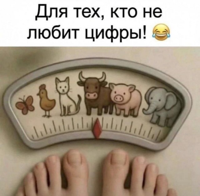 Картинки для деградации 194 (разной степени свежести)