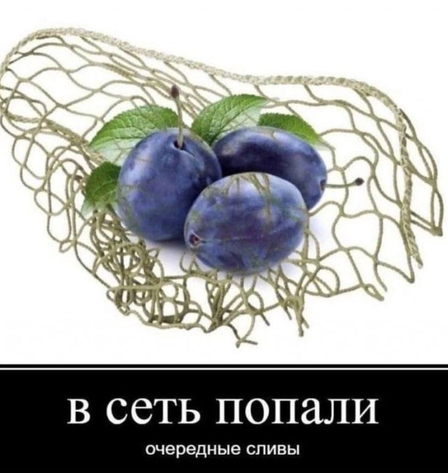 Картинки для деградации 197 (разной степени свежести)