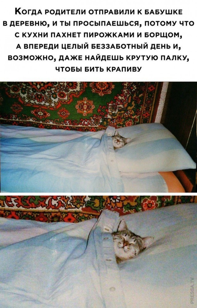 Веселые картинки в маленькую пятницу (27.05)